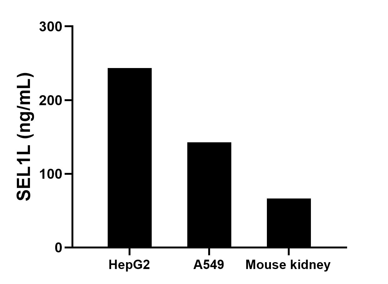 Sample test of MP01186-1